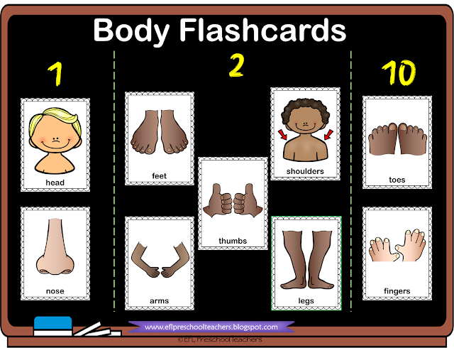 ount the body parts with flashcards