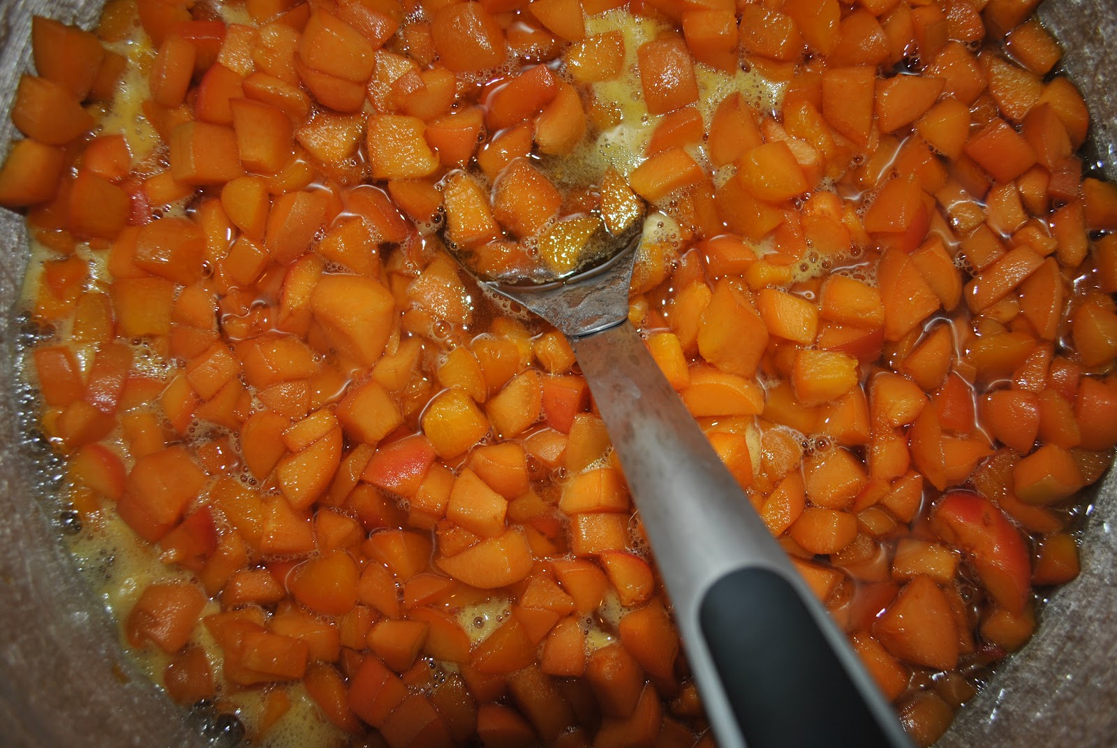 easy homemade refrigerator apricot jam