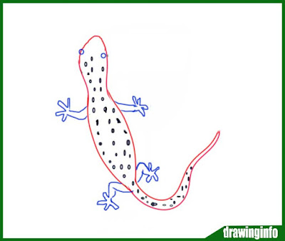 lizard-drawing-easy