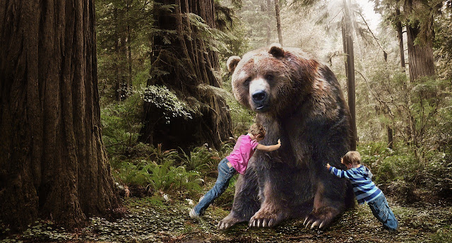 How many different kinds of animals live on earth? - Knowledge People