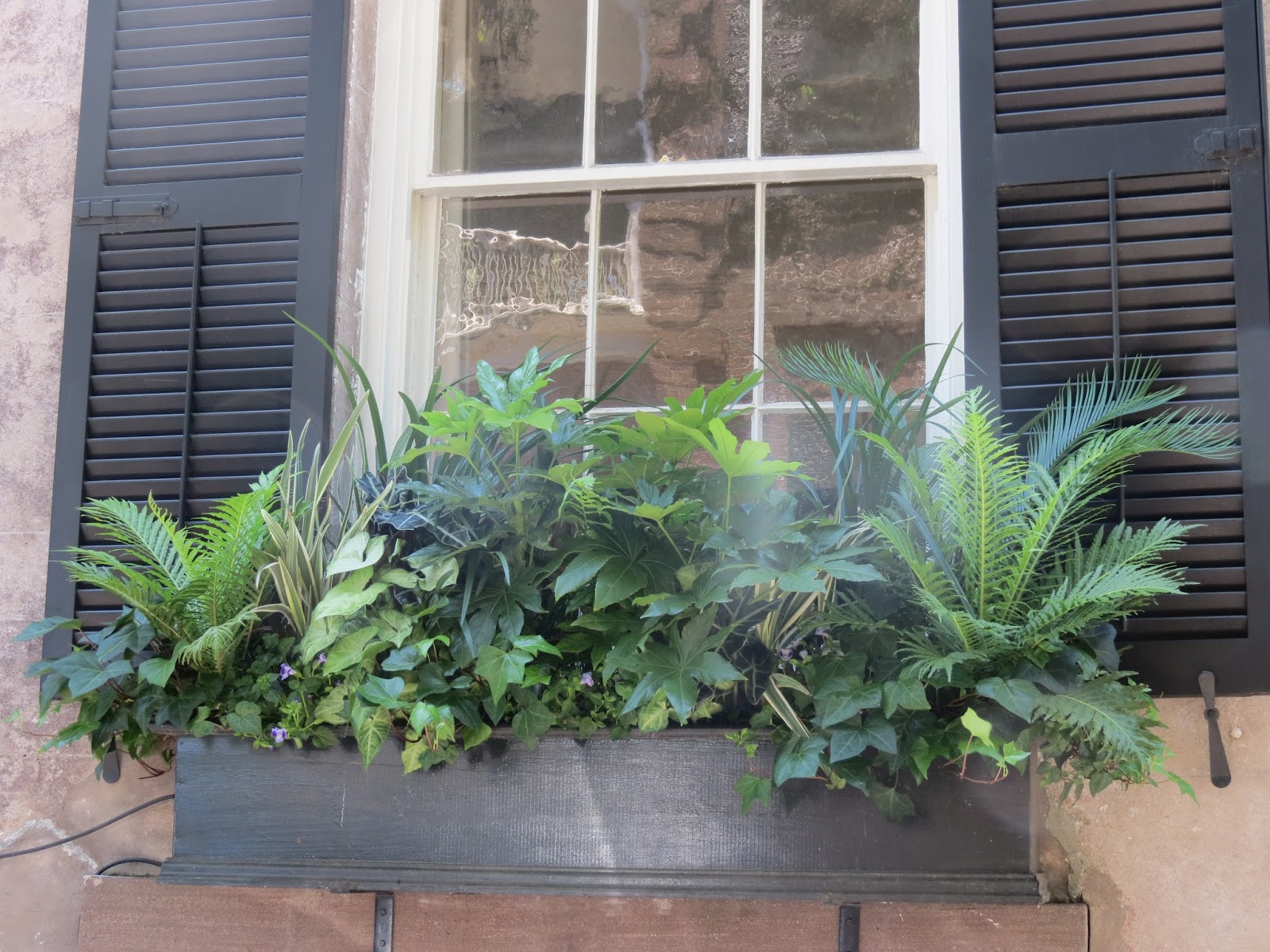 JLL DESIGN Window Box Ideas & More Garden Inspirations