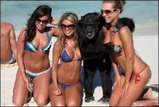 Funny Monkey And Girls