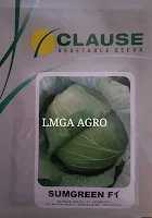 ciri-ciri kol, kubis, manfaat kol, sayur kol, jual benih kubis, toko pertanian, toko onine, lmga agro