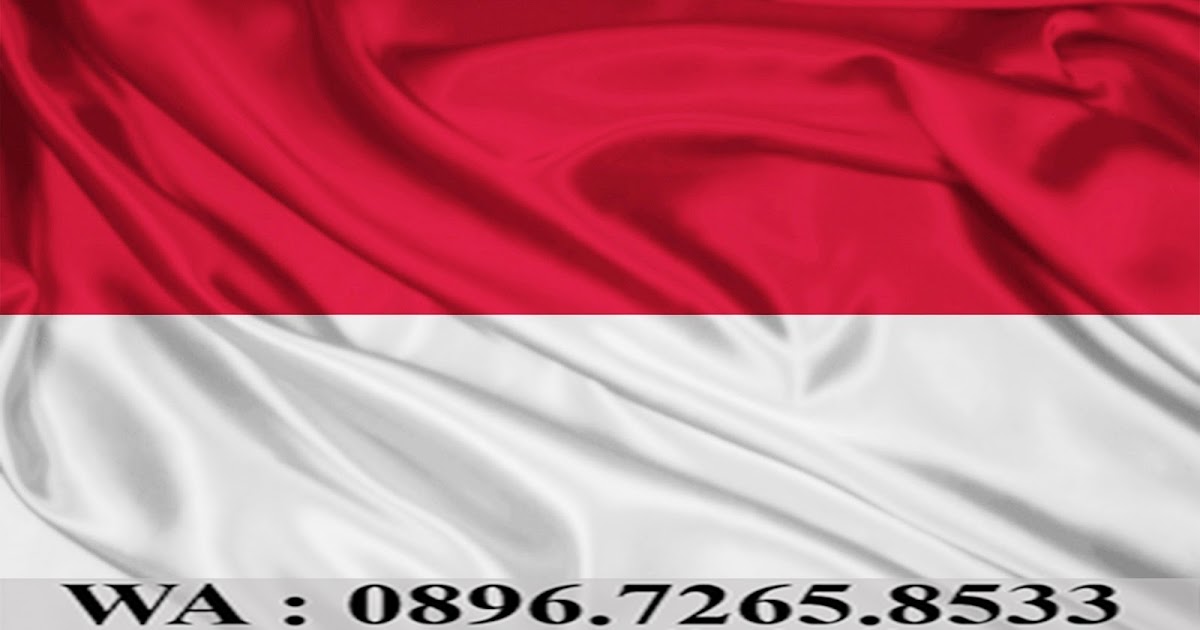 Jual Bendera Merah Putih Ukuran Besar Indonesia Background Backdrop Umbul