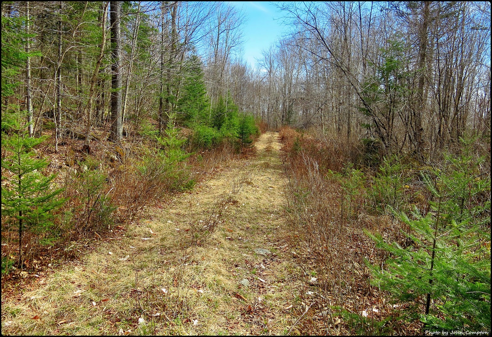 1HappyHiker A Trek to Marshfield Ledge near Marshfield, VT