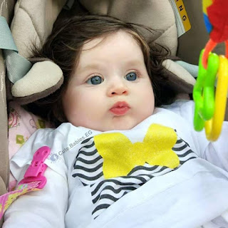 shof_3bbb210a467a717