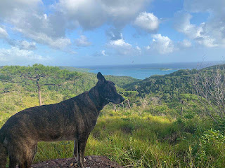 hiking, port royal national park, activity, fun, good energy, yoga retreat, April Dechagas, #payabay, #payabayresort, paya bay resort, wellness, 