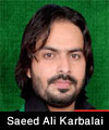 http://www.humaliwalayazadar.com/2013/06/saeed-ali-karbalai-nohay-2011-2013.html