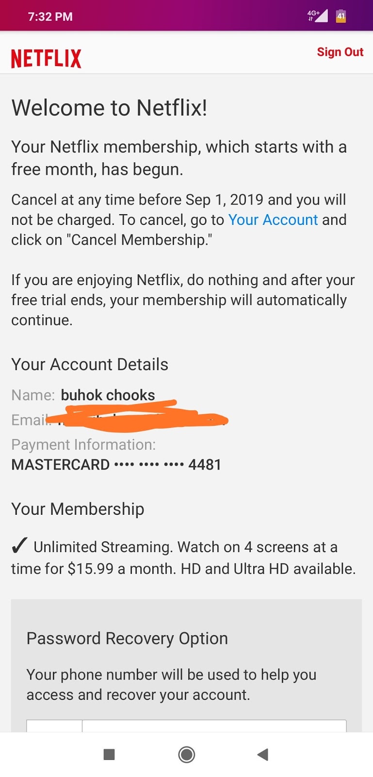 Bin Netflix work 100 PaymentProof2019