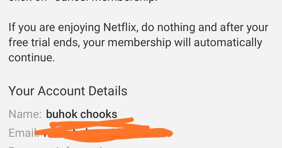 Bin Netflix work 100 PaymentProof2019