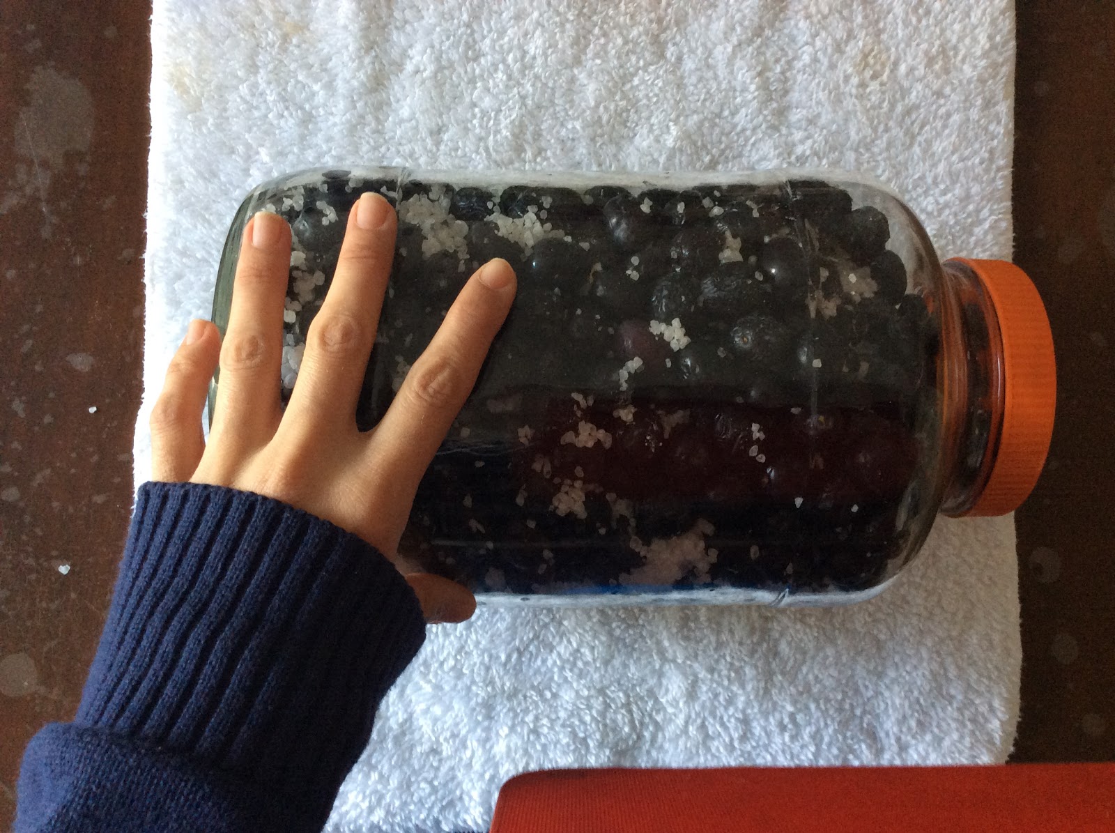 siyah zeytin nasil tatlandirilir evde zeytin tatlandirma emelce lezzetli anlar