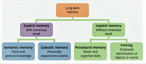 What is Memory? Kinds of Memory Sorts of Remembering Explain in Easy Words