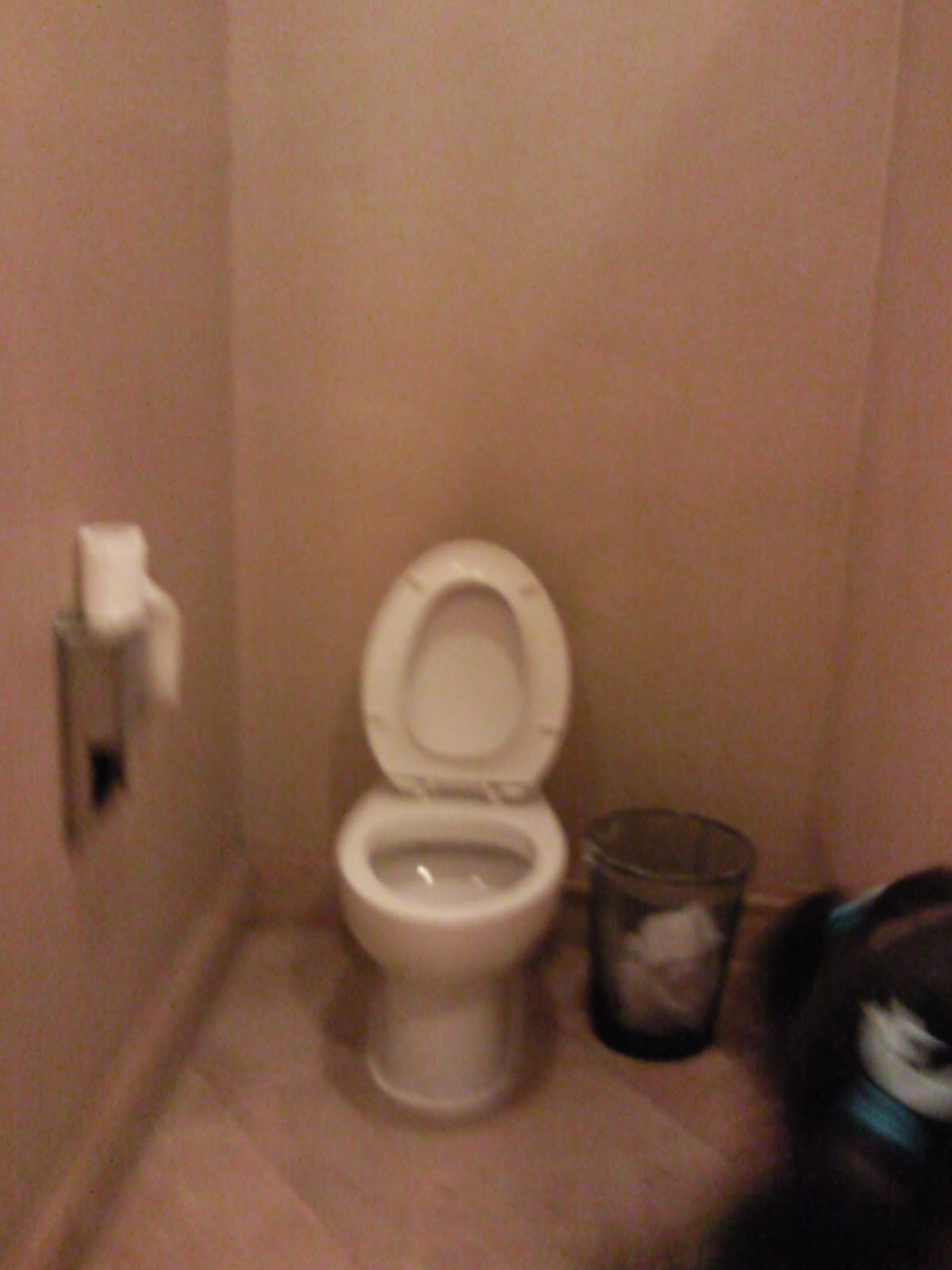 Public Toilet Resorts World Manila