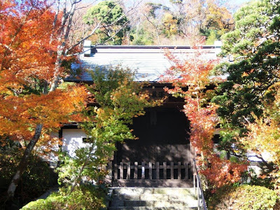 龍峰院