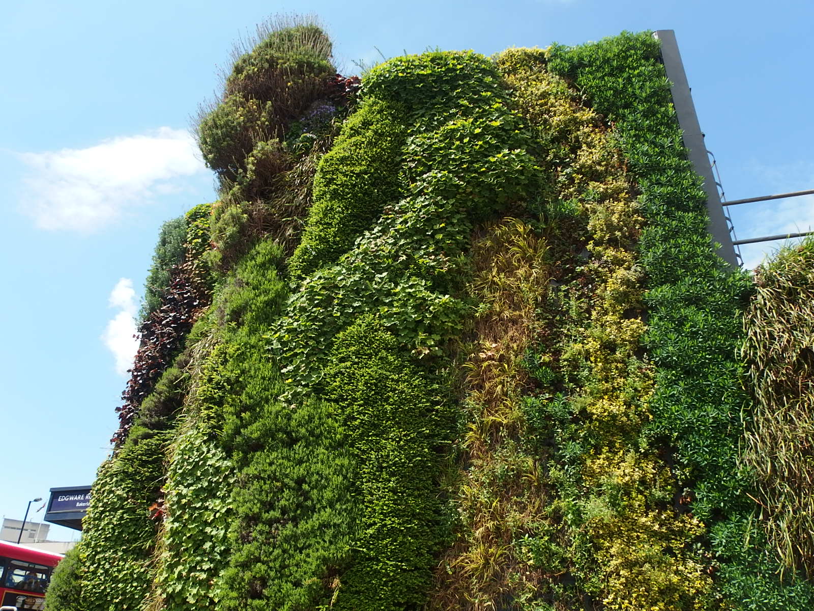 The Great Green Wall Hunt The story so far