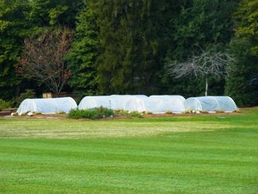 Navidad en Nueva York 2010 - Blogs de USA - Día 7: 8 de Diciembre. Un día en Washington. (3)