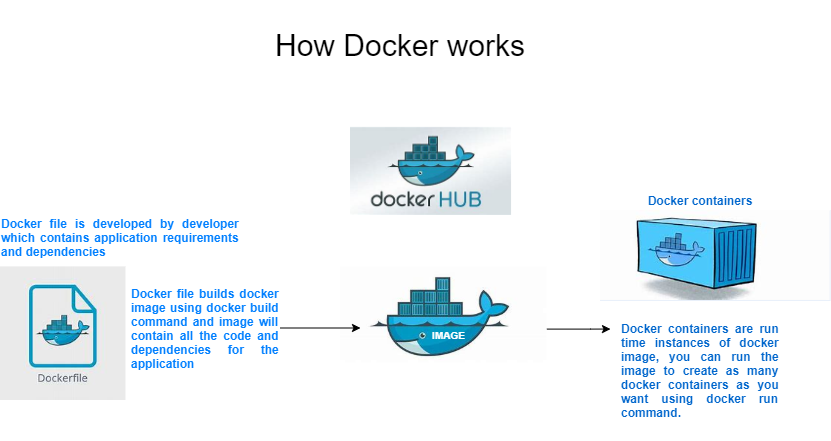 Docker container bash