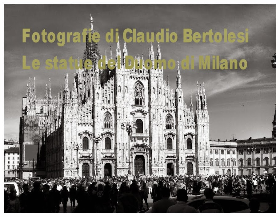 Foto di Claudio Bertolesi,  Statue del Duomo di Milano