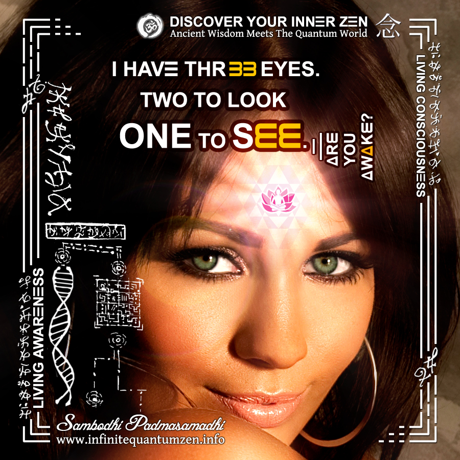 I have three eyes - two to look, one to see - Infinite Quantum Zen, Success Life Quotes