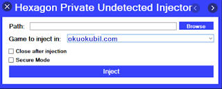Injector Hexagon DLL Programı İndir Her Oyun (32 & 64 Bit)