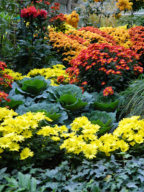 Allan Gardens Conservatory Fall Chrysanthemum Show 2014 by garden muses-not another Toronto gardening blog 