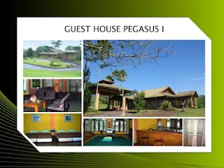 Guest House Pegasus 1