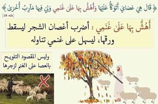 صور لفهم بعض آيات القرآن الكريم