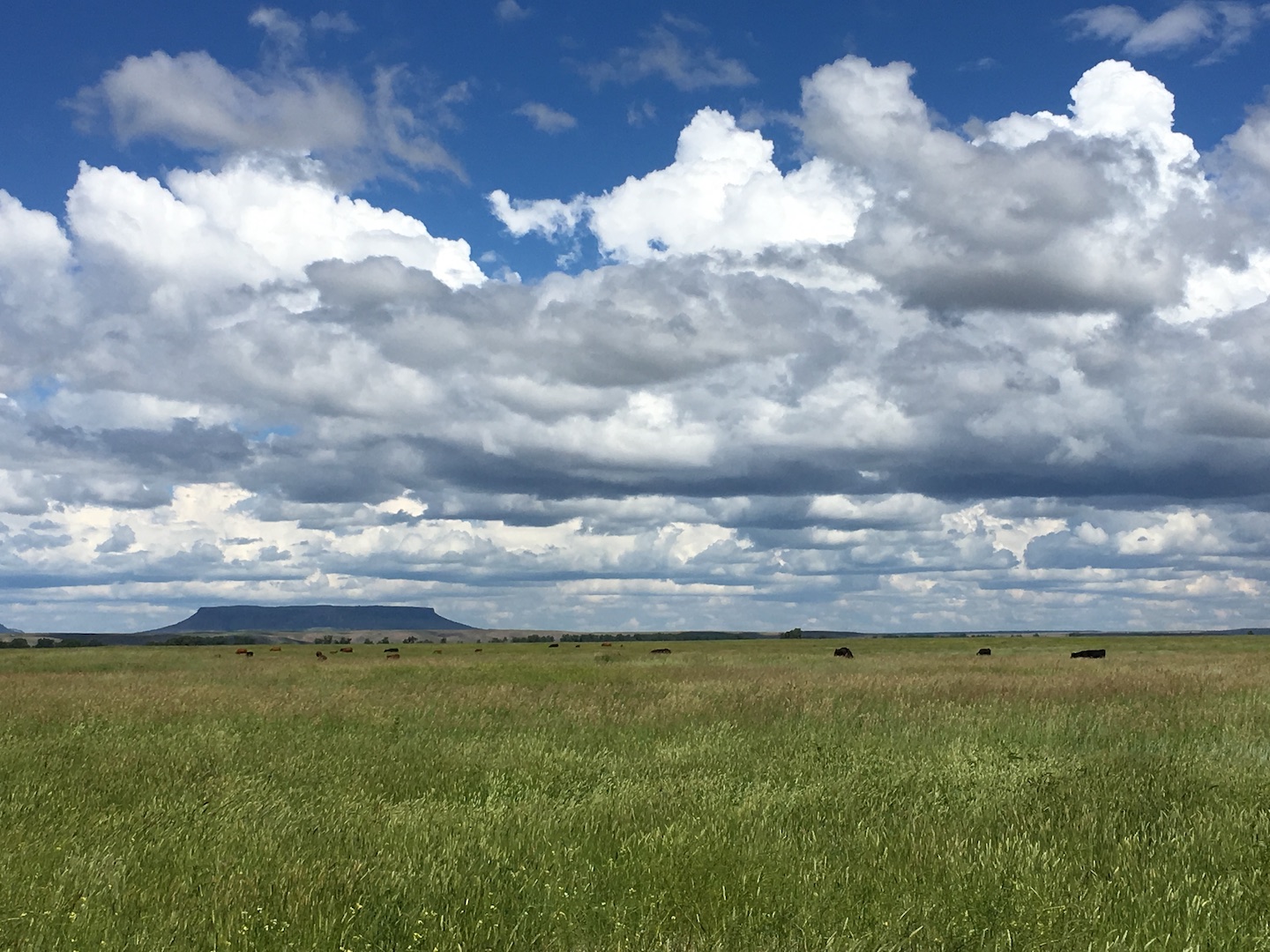 Montana Land for Sale