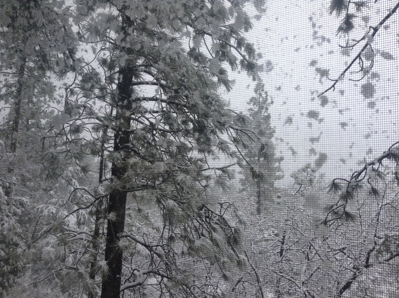 TheAwakenedSoul Snow From the Cabin Window in Wrightwood, California