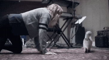 200.gif