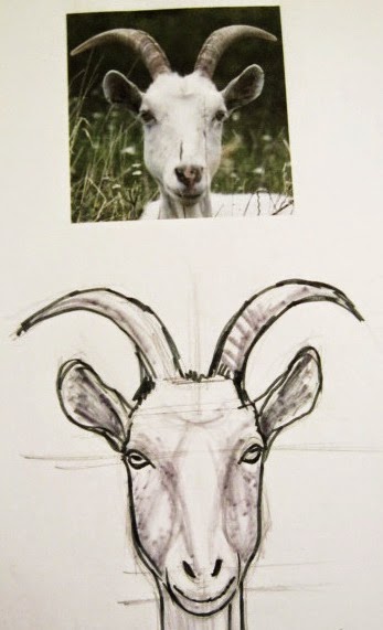 Морда козла рисунок