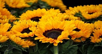 Buon Onomastico Mamma Anna Frasi D Auguri Dei Figli