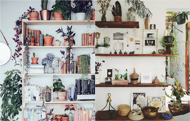 Prateleiras decoradas com livros, objetos e vasos de plantas