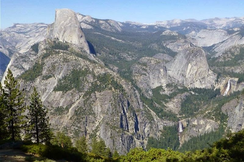 Yosemete Park Sequoia