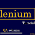 Selenium WebDriver Tutorial : Beginner Level