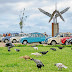 Citroen 2CV concentration in the Autonomy Square