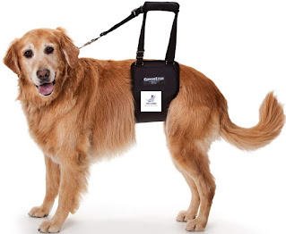 Supportive Dog Harness