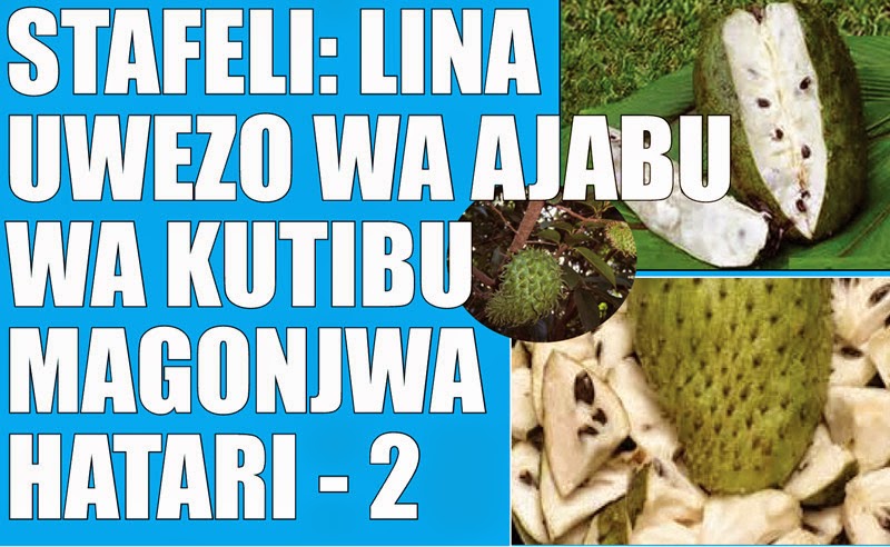 STAFELI: LINA UWEZO WA AJABU WA KUTIBU MAGONJWA HATARI ~ Mzizi Mkavu