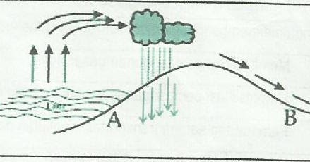Angin Yang Bersifat Kering Dan Panas - membahas soal geografi
