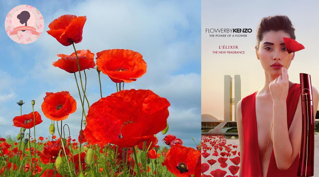 Flower-By-KENZO-L'Elixir Flower-By-KENZO-L'Elixir