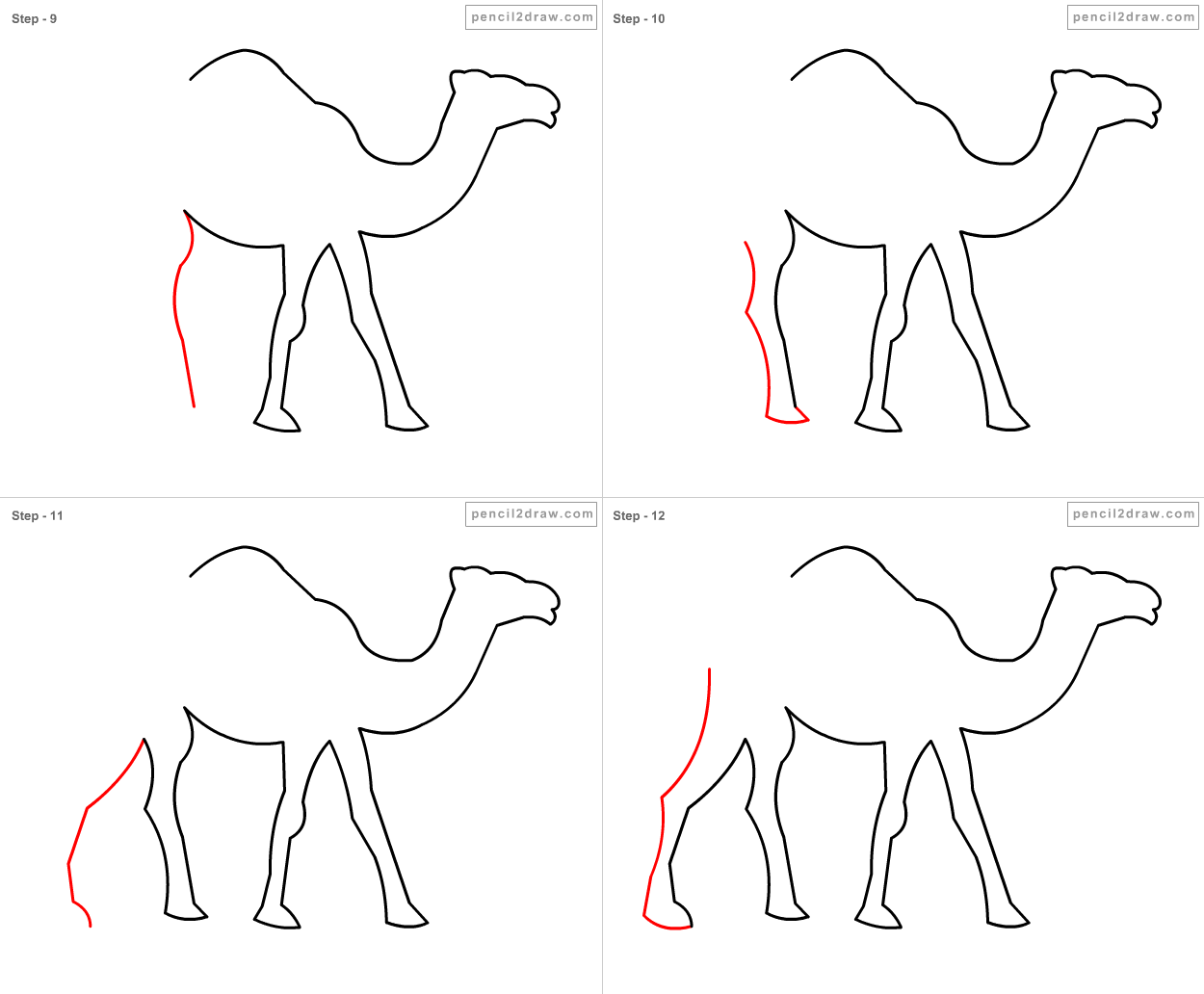верблюд по составу. верблюд по составу. дикий одногорбый верблюд австралийский. киргизия верблюды. легенда о верблюде.