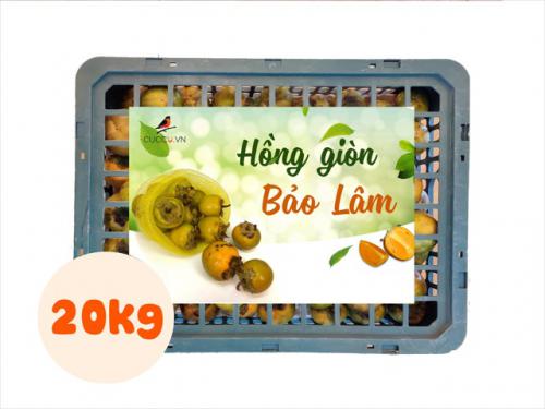 Hồng Giòn Bảo Lâm [Combo 20kg]