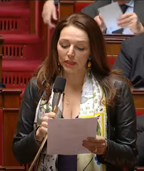 Sources sur la question arménienne La communautariste Valérie Boyer s