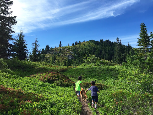 Hiking up Mt. McCausland