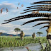 Descubren una nueva especie de dinosaurio en Neuquén: era herbívoro y tenía enormes espinas en el cuello