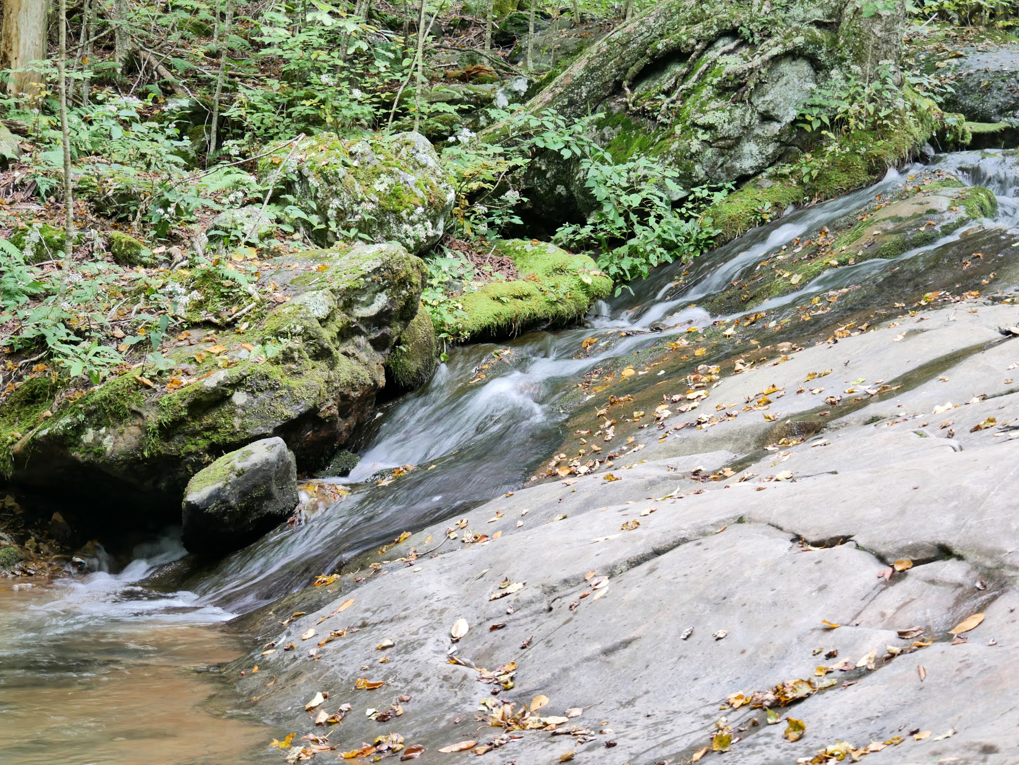 American Travel Journal Dark Hollow - P1250135 001.JPG