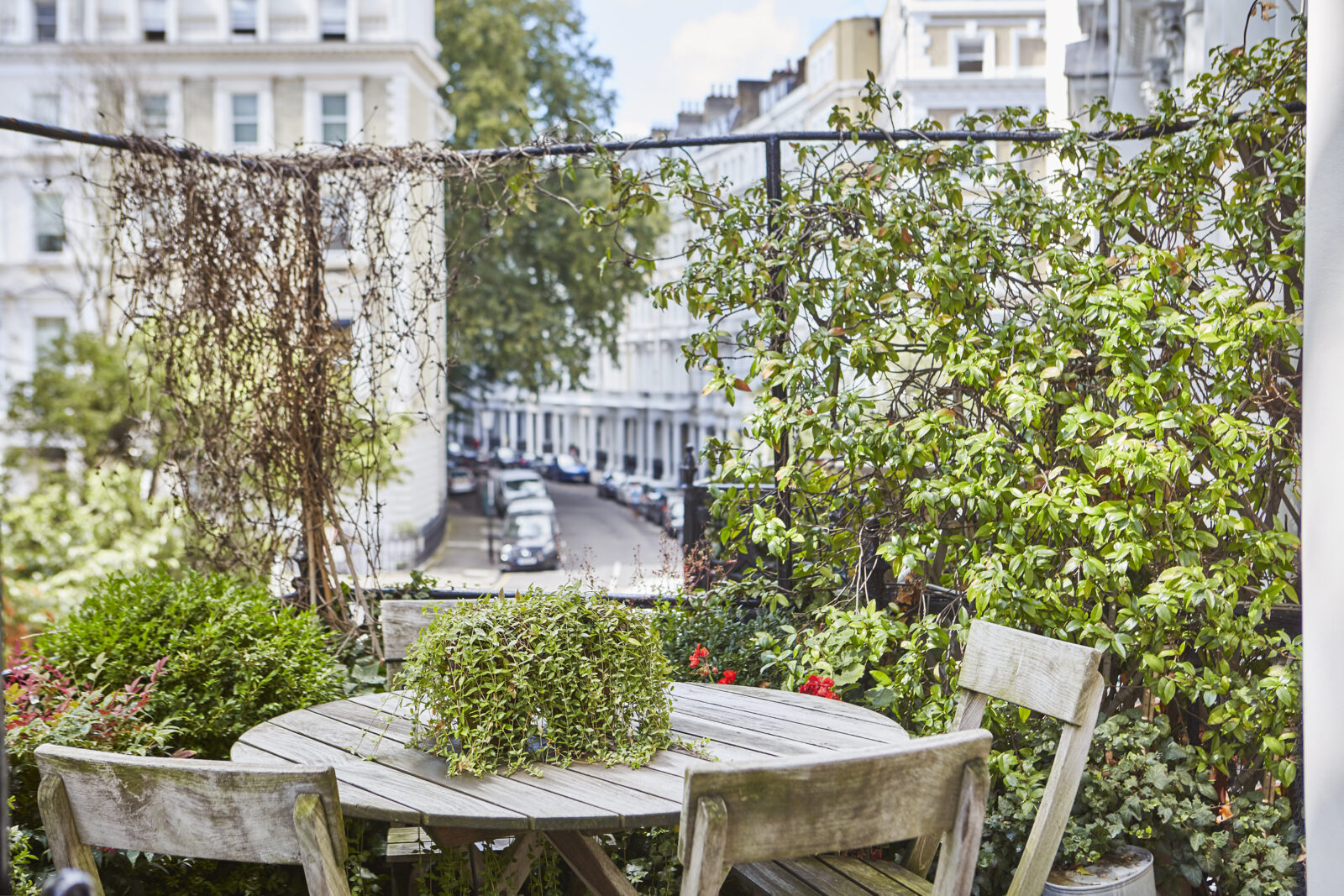    Courtfield-Gardens-2