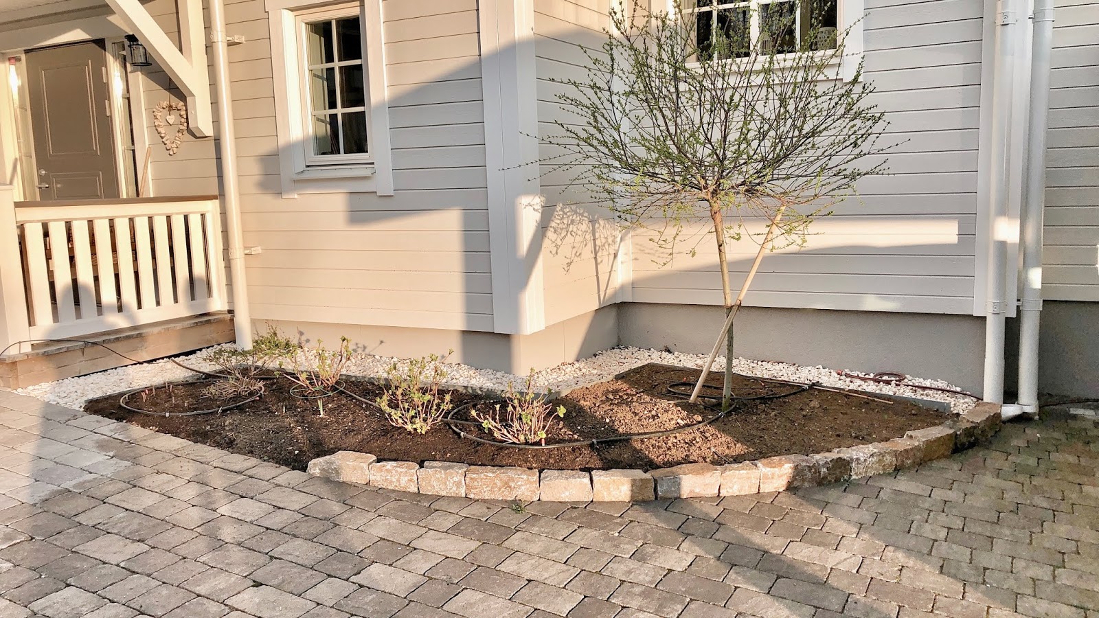 Hortensien Pracht Im Garten Beachhouse Living