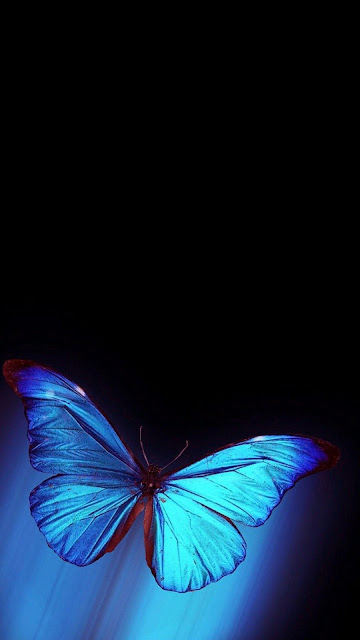 Dark iPhone Butterfly wallpaper