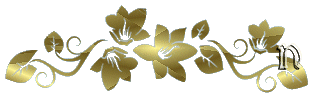 barrinha_dourada_nilceuN%2B(1).gif